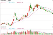 電解液“一哥”天賜材料業(yè)績再腰斬，比兩年前少賺50億元