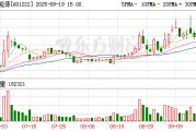 林洋能源：預(yù)中標(biāo)1.42億元國家電網(wǎng)采購項目