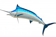 無(wú)限制的海洋冒險(xiǎn)，游戲釣魚(yú)免費(fèi)下載體驗(yàn)，無(wú)盡海洋，魚(yú)類垂釣樂(lè)趣無(wú)窮！輕松下載并享受游戲捕魚(yú)的樂(lè)趣