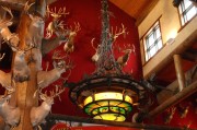 游戲盛宴，盤點(diǎn)市面上最熱門的免費(fèi)網(wǎng)游游戲大全，年度爆款免費(fèi)網(wǎng)游盤點(diǎn)，你最愛的是哪一款？