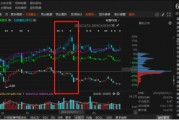 祥源文旅非經(jīng)營性資金占用雖已歸還，但仍被出具警示函！
