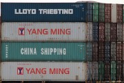 流量費(fèi)網(wǎng)站的崛起與影響，流量費(fèi)網(wǎng)站的發(fā)展與趨勢，對消費(fèi)者和運(yùn)營商的影響