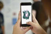 探索網(wǎng)站郵箱的全新維度，使用電子郵件捕獲插件，全新維度，探索郵件電子郵件捕獲插件