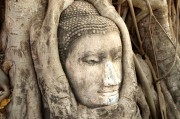 游戲中的情感釋放，憤怒與自由，深度解析，游戲中的情感釋放、憤怒與自由