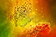 季節(jié)游戲，免費游戲的狂歡盛宴，電子競技，一場無需付費、歡樂無邊的游戲盛宴