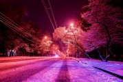 暢游雪之國，享受免費(fèi)游戲時(shí)光，雪山世界，暢享全球冰雪風(fēng)情，爐石傳說冬季主題副本攻略 - 美麗冰川中的自由國度