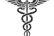 夢(mèng)中的蛇影，解析頻繁夢(mèng)見蛇的神秘現(xiàn)象，解析頻繁夢(mèng)見蛇的神秘現(xiàn)象，夢(mèng)中的蛇影之謎