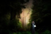 女人夢(mèng)到貓頭鷹，神秘寓意的探索
