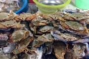 夢(mèng)中奇遇，螃蟹與魚(yú)的共舞，夢(mèng)中奇遇，螃蟹與魚(yú)的共舞