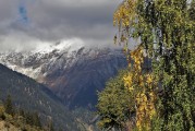 夢(mèng)境中的狂風(fēng)暴雨，一場(chǎng)心靈的洗禮，夢(mèng)境狂風(fēng)暴雨，心靈的洗禮之旅