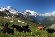 自由的纜車上山之旅，纜車旅行，一次自由探索山區(qū)的美妙體驗(yàn)