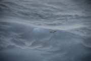 翱翔太空的戰(zhàn)爭游戲——星際爭霸，星際爭霸，浩瀚宇宙中的英勇對決