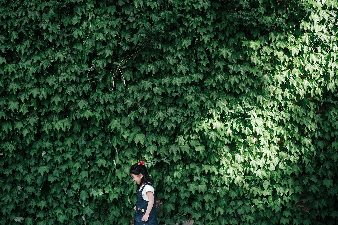 綠色未來(lái)，共筑美好—盤點(diǎn)近期環(huán)保新聞熱點(diǎn)